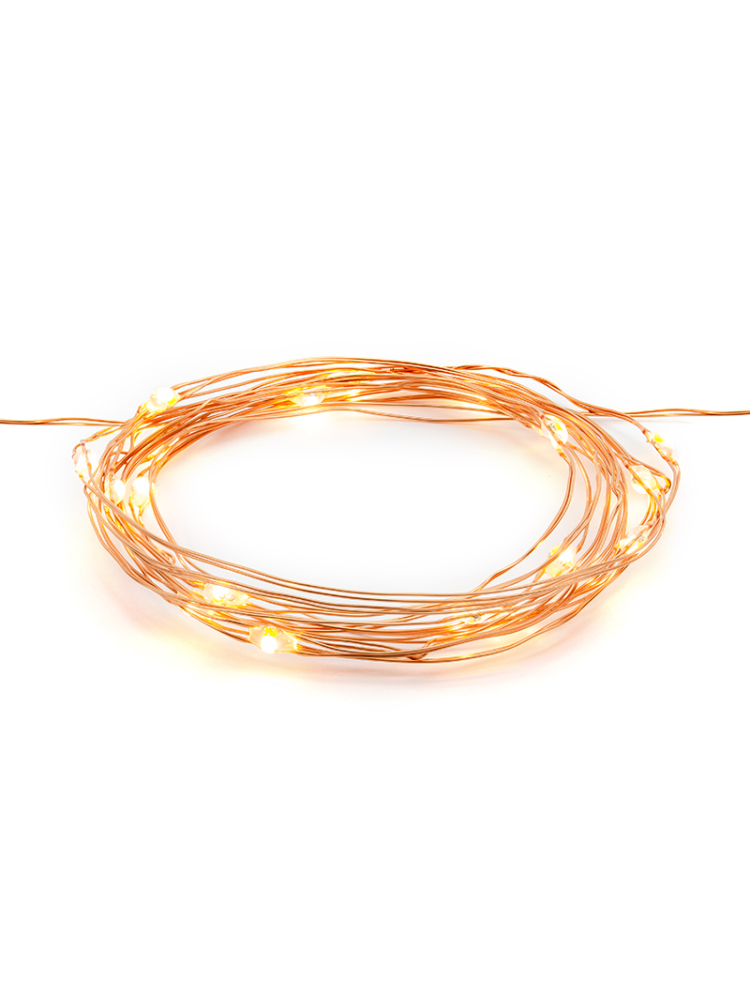 Decoratieve LED Verlichting Koper main product photo
