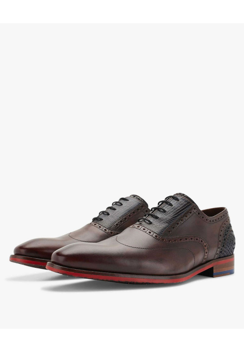 Floris van Bommel 19062/02 Brown ()