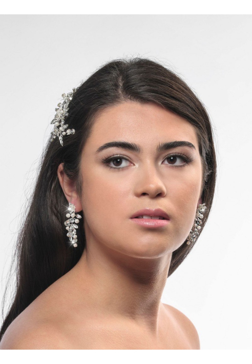 Poirier NC-1324 Oorbellen Zilver ()