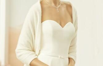 Bekijk ons assortiment