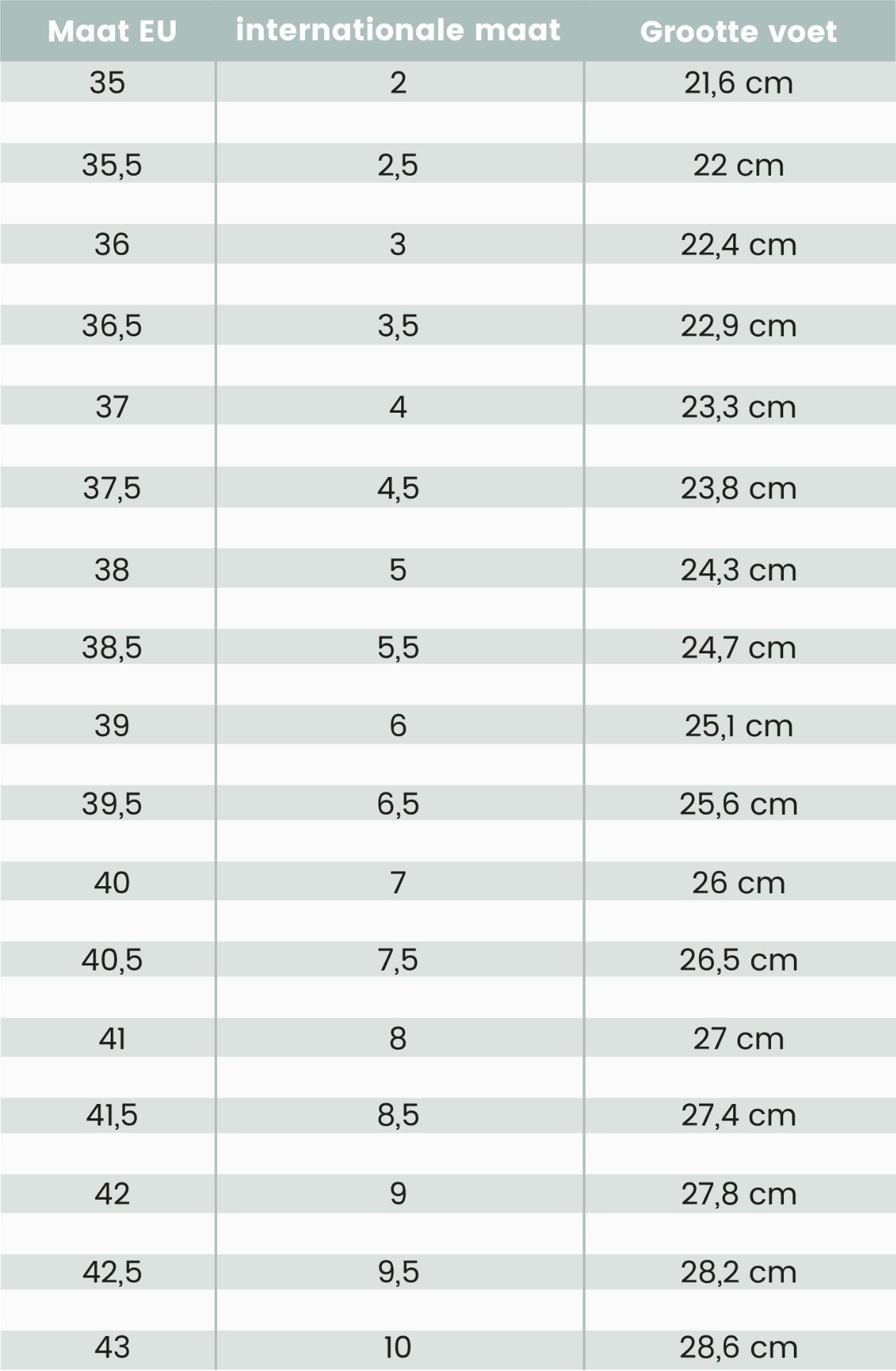 Maattabel rainbowclub en Mr Fiarucci